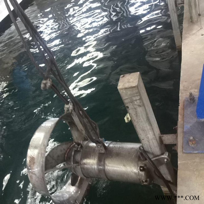 新蓝 供应QJB潜水搅拌机   潜水搅拌器   不锈钢潜水搅拌器  冲压式潜水搅拌机图1