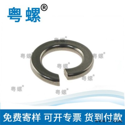 DIN2093 弹簧垫片 广州不锈钢垫片生产厂家 粤螺订制弹簧垫圈