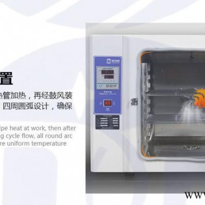 电热式热风循环烘箱 DG-550直销电热烘箱干燥箱
