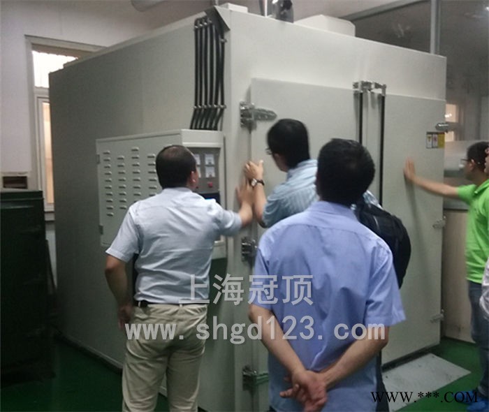热风循环烤箱 工业烘箱 循环烘箱生产厂家 上海冠顶工业图1