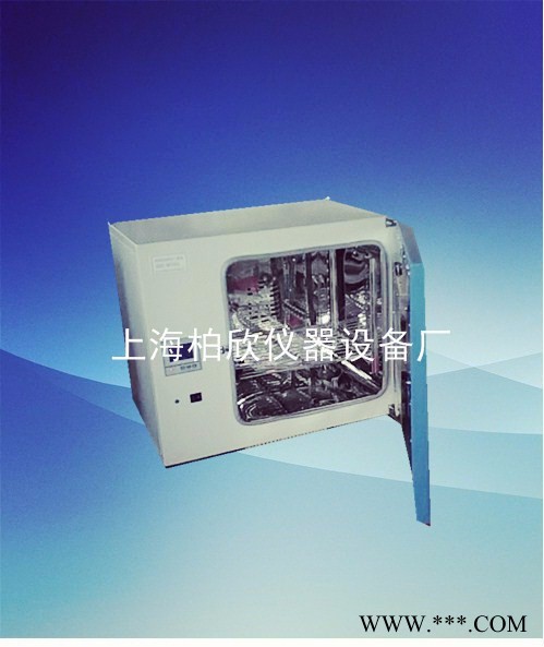 供应柏欣仪器DHG-9145A台式300度电热恒温鼓风干燥箱 恒温烘箱上海老化箱图1