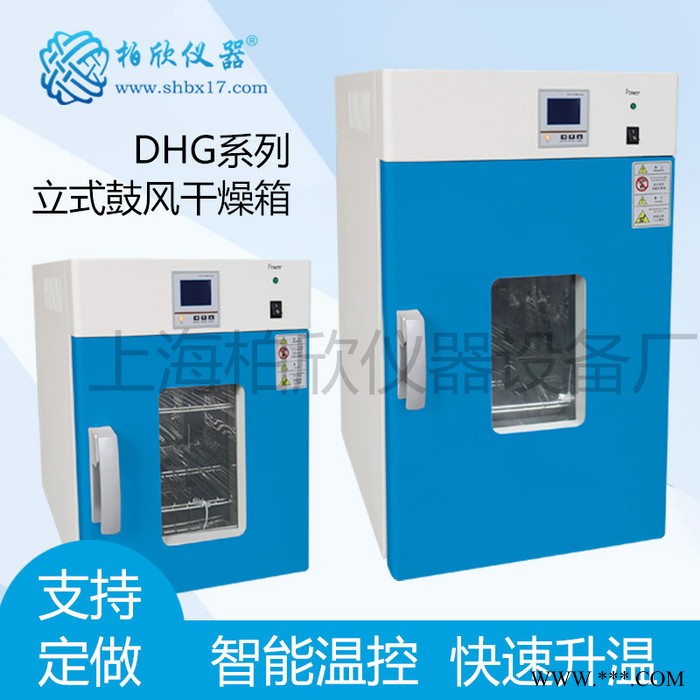 供应柏欣仪器DHG-9035A立式鼓风干燥箱 老化箱 烘箱图1