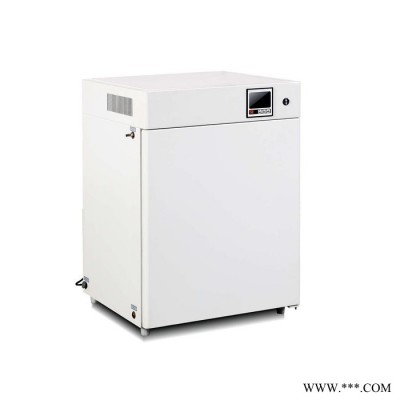 捷呈 270L 大容量 电热恒温培养箱 DHP-9272 气套式 细菌培养 电热恒温培养箱价格 电热恒温培养箱厂家