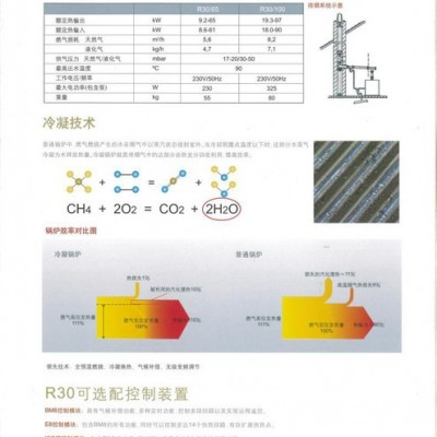 elco 欧科R30/100 商用壁挂炉 全预混冷凝燃气壁挂炉 节能环保低氮高效 采暖加热水 采暖加热水