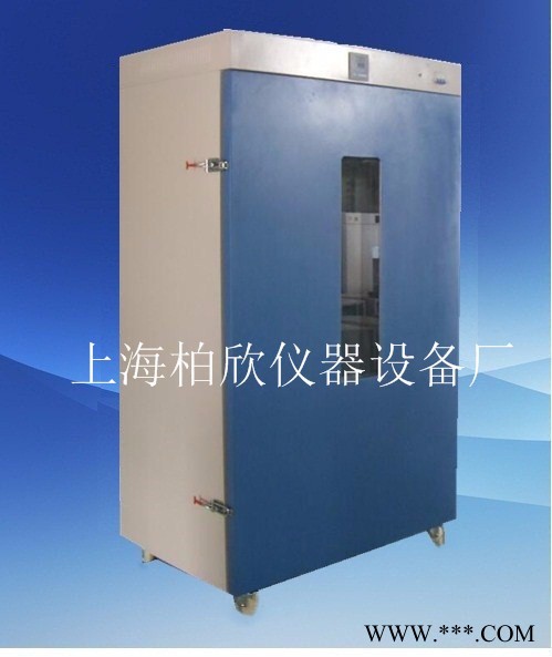 供应柏欣仪器大容量烘箱 DHG-9640A立式300度鼓风干燥箱图1