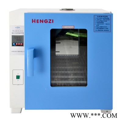 上海跃进隔水式电热恒温培养箱HGPN-II-80