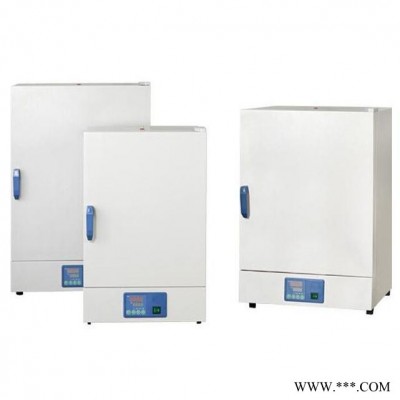供应 上海 一恒 自然对流干燥箱 电热干燥箱 鼓风干燥箱 热风干燥箱 实验室干燥箱 立式干燥箱 型号DHG-9141A