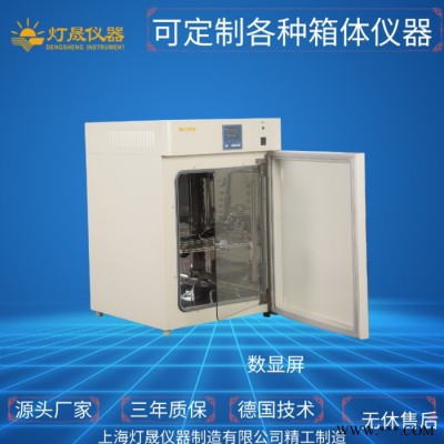 电热恒温培养箱DHP-9272P 实验室设备 上海厂家 可非标定制定做 智能恒温 微生物 细胞 细菌培养箱