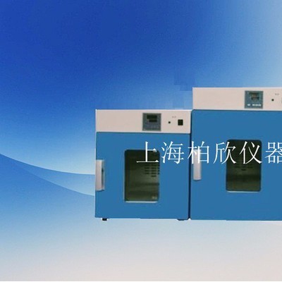 供应柏欣仪器DHG-9070A立式250度鼓风干燥箱 上海老化箱 恒温烘箱