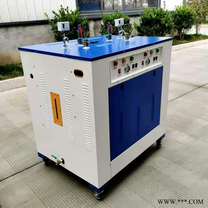 小型电加热蒸汽发生器 服装厂洗剂熨烫电蒸汽锅炉 电蒸发器