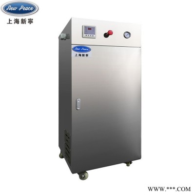 型号LDR0.034-0.7电加热蒸汽锅炉