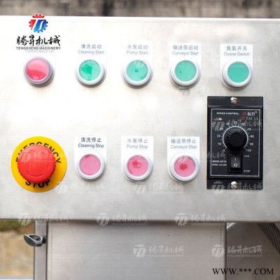腾昇TS-X200中型清洗机 水果蔬菜清洗机 喷淋气泡式清洗 不锈钢果蔬菜清洗机