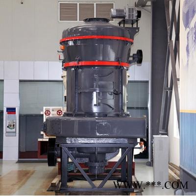 厂家供应新型强压摆式雷蒙磨粉机 高岭土雷蒙磨粉机