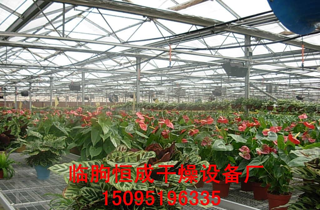 花棚