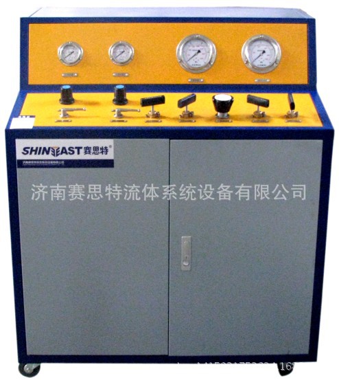 Double pump system
